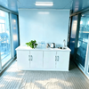11m Glass House Pontoon Boat Yamane Ryu Yacht Factory