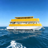 50ft Aluminum Catamaran Passenger Boat for Sightseeing And Tourism