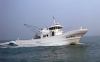 17.1m Professional Commercial Fiberglass Fishing Boat with Diesel Inboard And Propeller