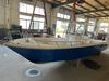 9m 30ft Fiberglass High Speed Yacht Sports Boat For Leisure