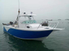 Aluminum fishing boat Center Console
