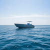 8m Aluminum Landing Craft with T Top 