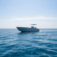 8m Aluminum Landing Craft with T Top 
