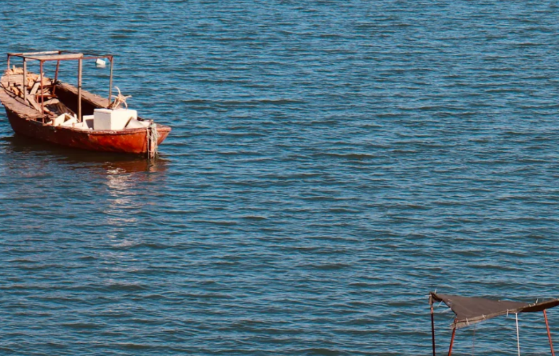 pontoon boat in saltwater