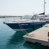 9.5m Full Cabin Fiberglass Fishing Boat Yacht