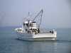 17.1m Professional Commercial Fiberglass Fishing Boat with Diesel Inboard And Propeller