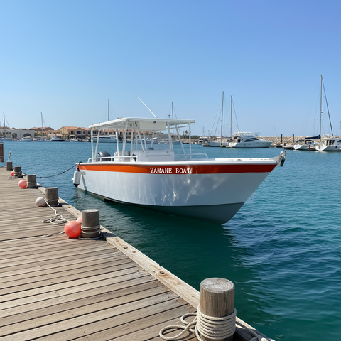 32ft 9.7m Aluminum Big Top Fishing Boat High Speed Yacht